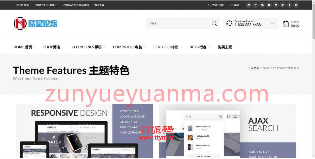 C255 wordpress主题_购物商城主题源码电子商务外贸网站汉化版