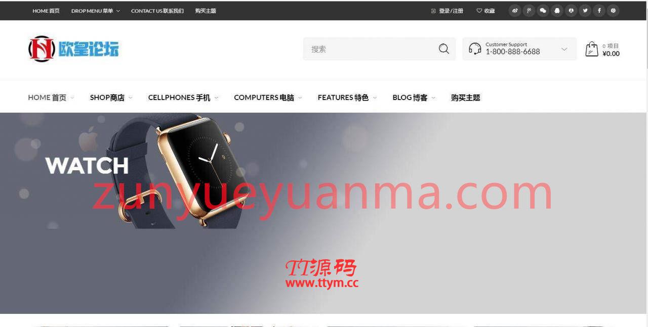 C255 wordpress主题_购物商城主题源码电子商务外贸网站汉化版