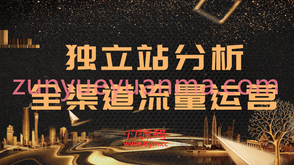 2020跨境电商最新运营视频教程 手把手教你分析运营独立站精细化流量