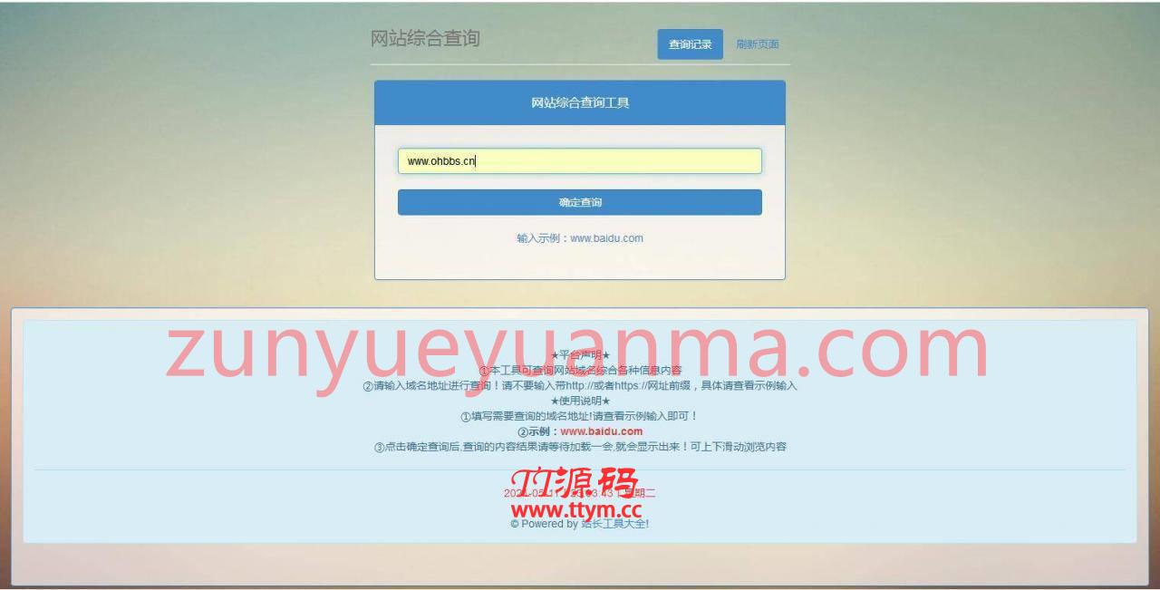 P20 网站站长综合seo查询工具源码