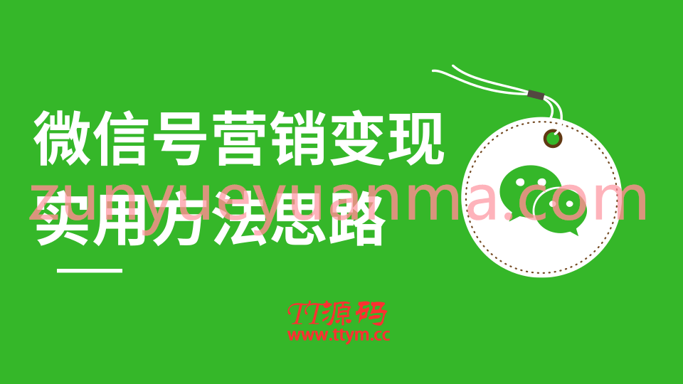 价值199元微信朋友圈刷屏裂变最新营销变现视频教程 实用方法思路共12节完结版