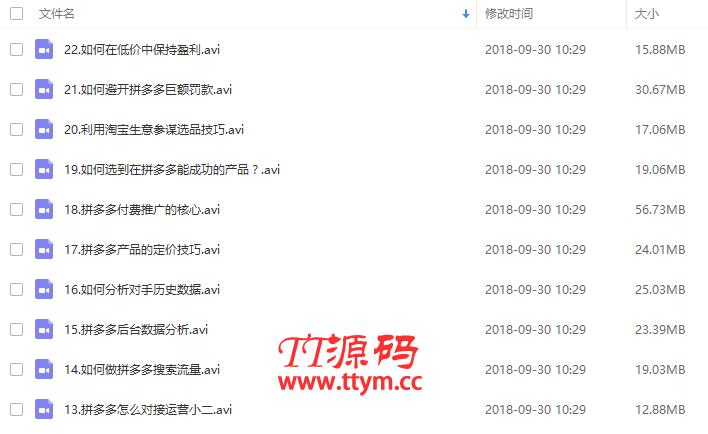 拼多多运营学习讲座火爆运营开店教程（共22课）
