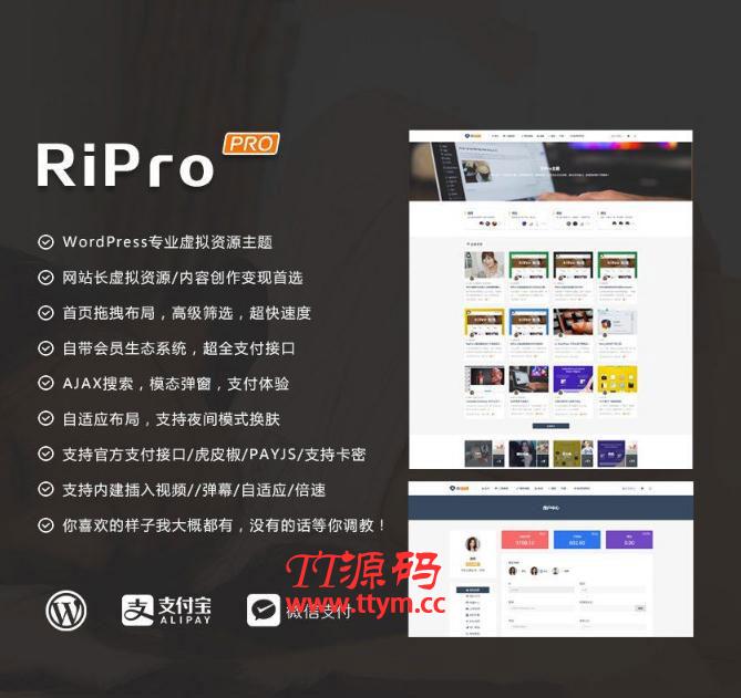 RiProV4.3.0破解去授权无限制版本 WordPress主题