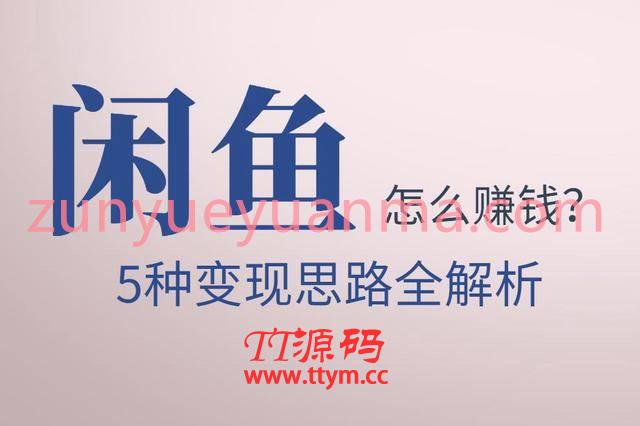 佐道副业特训营之闲鱼5种变现思路全解析