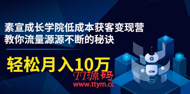 素宣成长学院低成本获客变现营，教你流量源源不断的秘诀，轻松月入10万