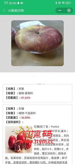 AI智能识物小程序 v1.2.1