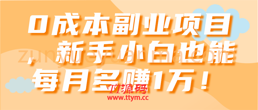 0成本副业项目，新手小白也能每月多赚1万！【视频教程】
