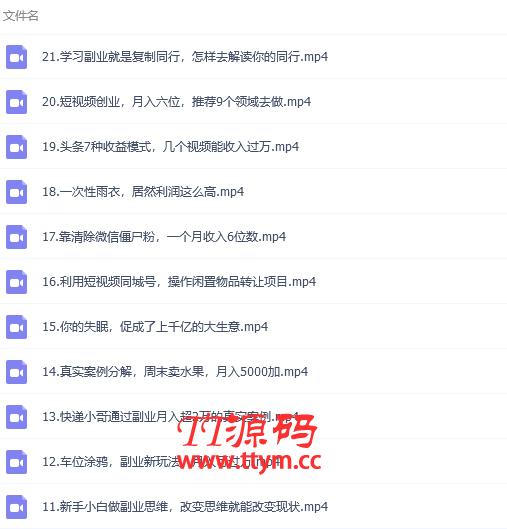 张磊21堂副业培训课：让小白学会副业赚钱，通俗易懂简单易上手