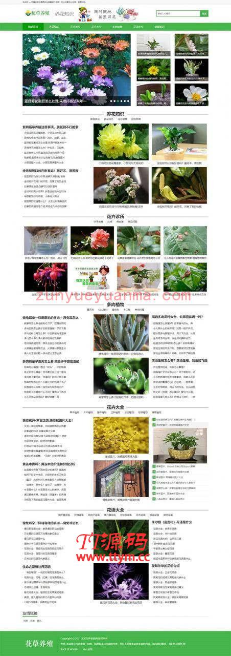 (带手机版数据同步)花卉养殖新闻资讯类织梦模板 绿色花草植物网站模板下载