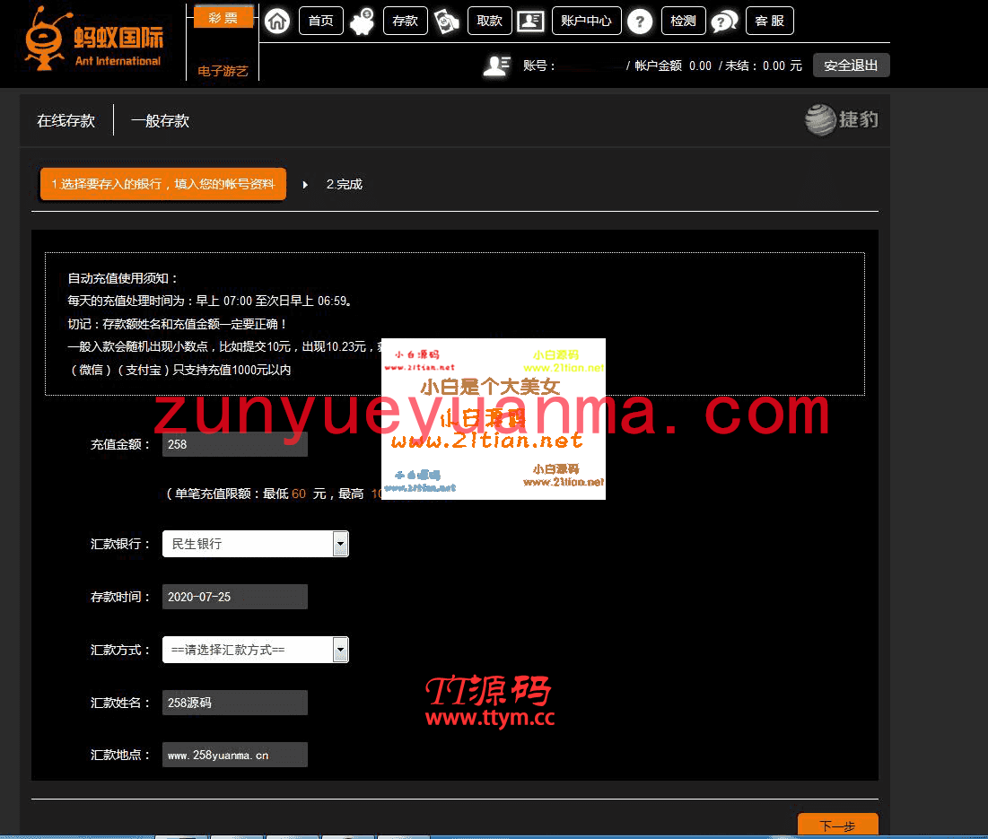 服务器打包单彩种源码蚂蚁国际