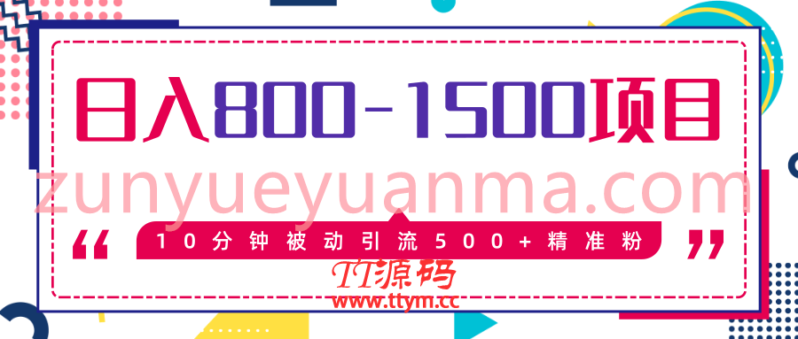 最新项目10分钟被动引流500+精准粉