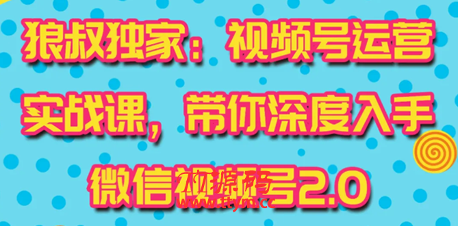 视频号运营实战课2.0，目前市面上最新最全玩法，快速吸粉吸金（10节视频）