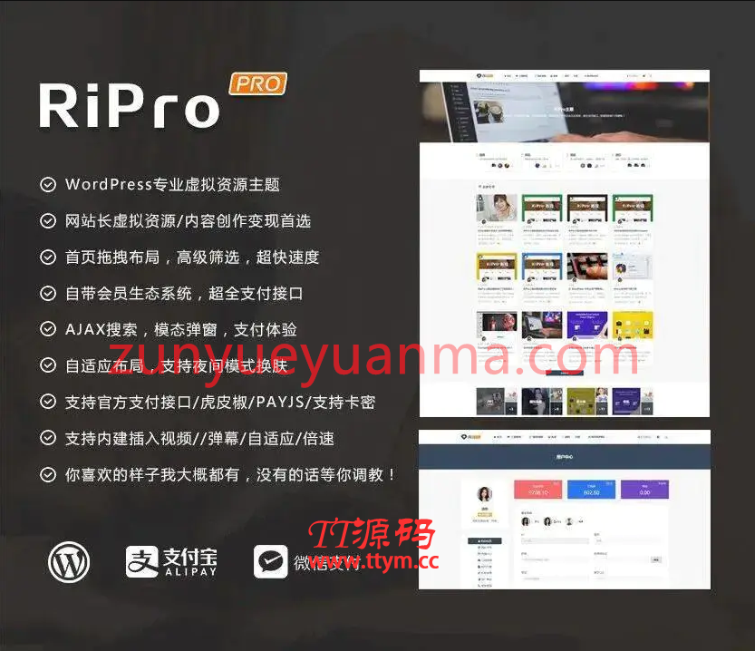 C225 wordpress主题_WordPress主题ripro8.7日主题去除授权版