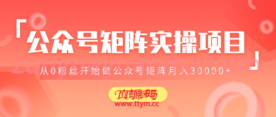 公众号矩阵实操项目最新视频教程 教你从0粉丝开始做赚钱的公众号矩阵月入上W