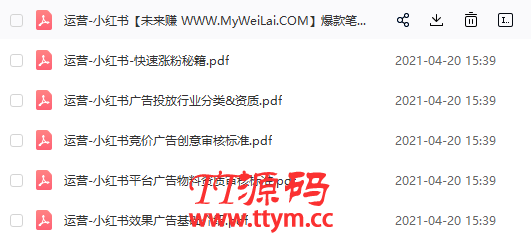2021年小红书策划运营方案与报告