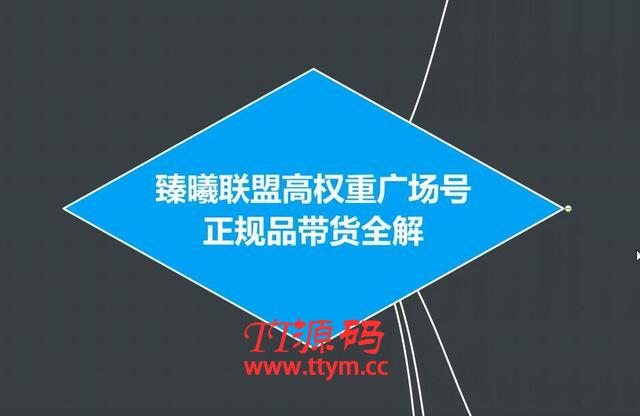 臻曦联盟抖音高权重广场号无人直播正规品带货全解【视频教程】