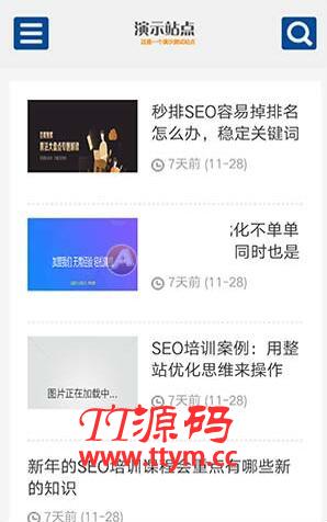 SEO博客优化网站源码 响应式SEO教程资讯类网站织梦模板 自适应手机版
