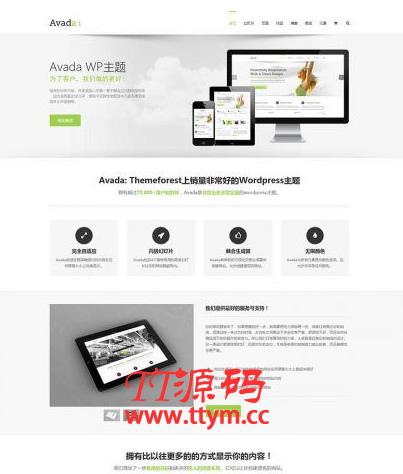 Avada多功能企业主题去授权无限制版本（更新V5.8.2）WordPress主题模板