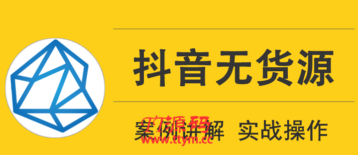顽石电商低投入高回报抖音无货源实战教程