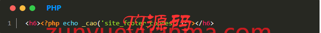 ripro美化主题-页脚显示资源统计会员统计日更周更统计数据