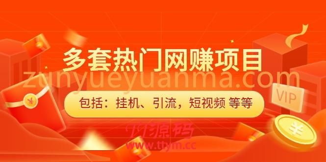 多套热门网赚项目，更新中视频撸钱（包括：挂机、引流，短视频 等等）