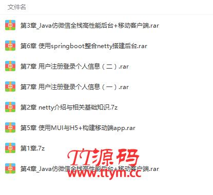 Netty/Springboot打造高性能微信聊天应用项目实战视频教程