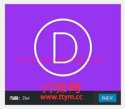 C199 WordPress多风格主题Divi Theme v4.8.1