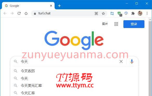 Any-Proxy在线反向代理源码