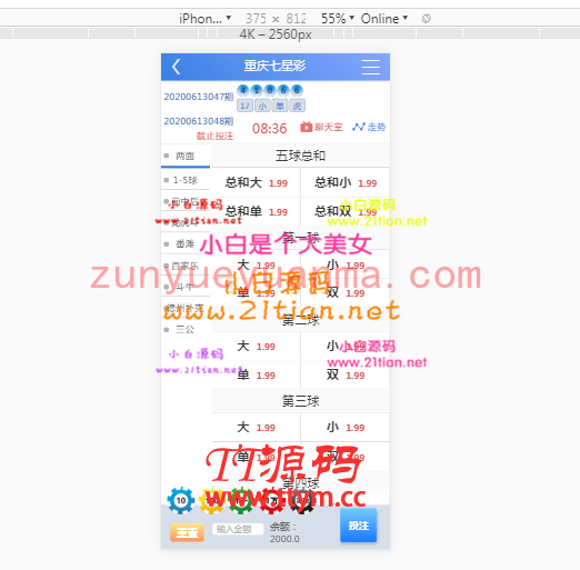 对打娱乐运营版+wap已经修复采集无措版本