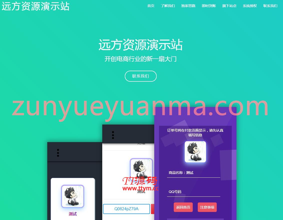 非常大气的商城引导页html