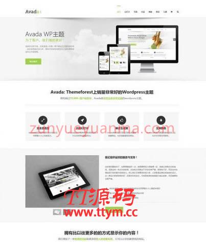 WordPress主题Avada多功能企业主题去授权无限制版本（更新V5.8.2）
